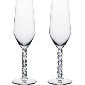 Orrefors Carat Champagnerglas 24 cl klar 2 Stk.